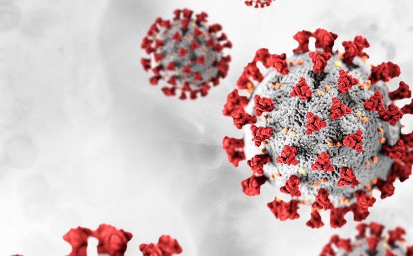 Arapiraca registra aumento de 26 para 90 casos confirmados de Covid-19 em apenas uma semana