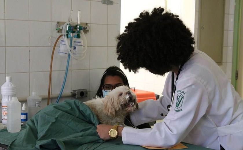 São Paulo inaugura nova unidade de hospital veterinário público com viés social