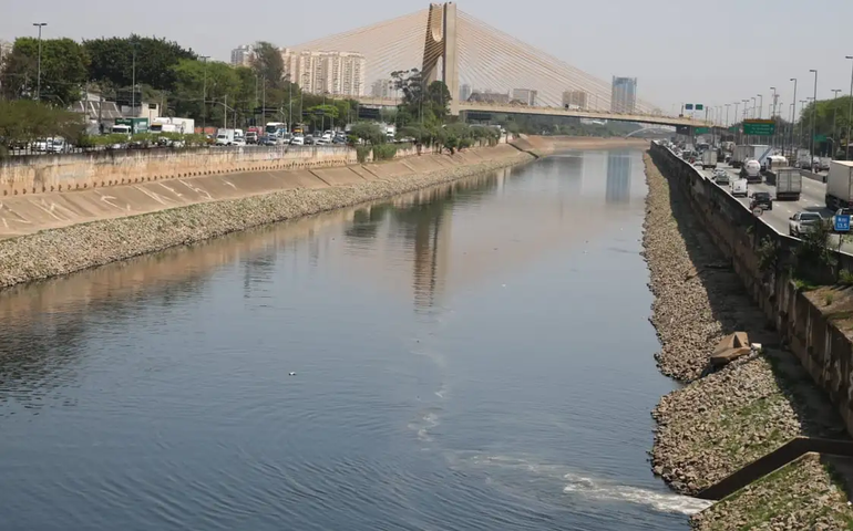 Sucuri aparece em eclusa no Rio Tietê e vira atração para estudantes