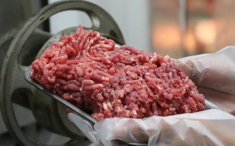 México já é 2º maior importador de carne bovina brasileira após tarifaços dos EUA