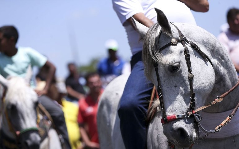 Prefeitura de Coruripe realiza na Pindorama 1ª Grande Cavalgada Tamo Junto