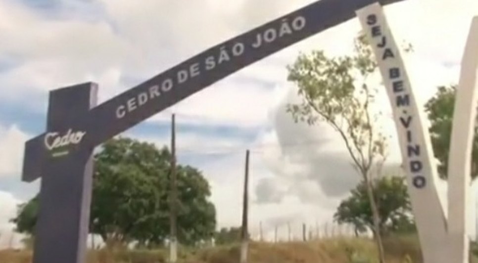Cedro / Foto: Reprodução: Alese