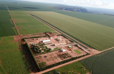 TIM fecha primeira parceria no segmento da pecuária do Brasil com Grupo Stracci 
