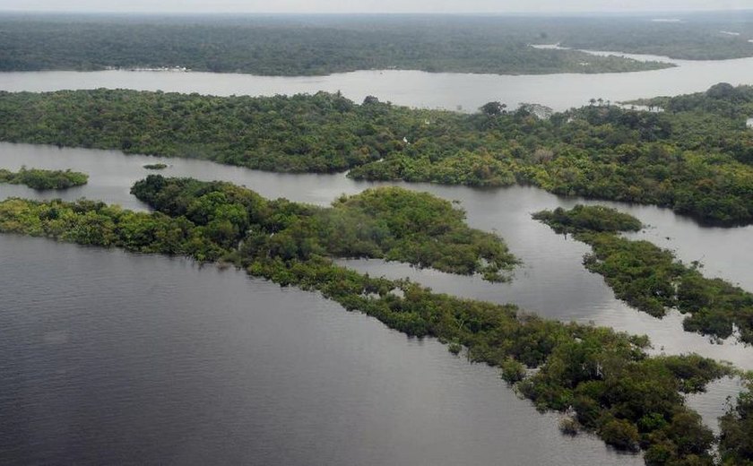 COP28 aprova Brasil como sede da Conferência do Clima de 2025