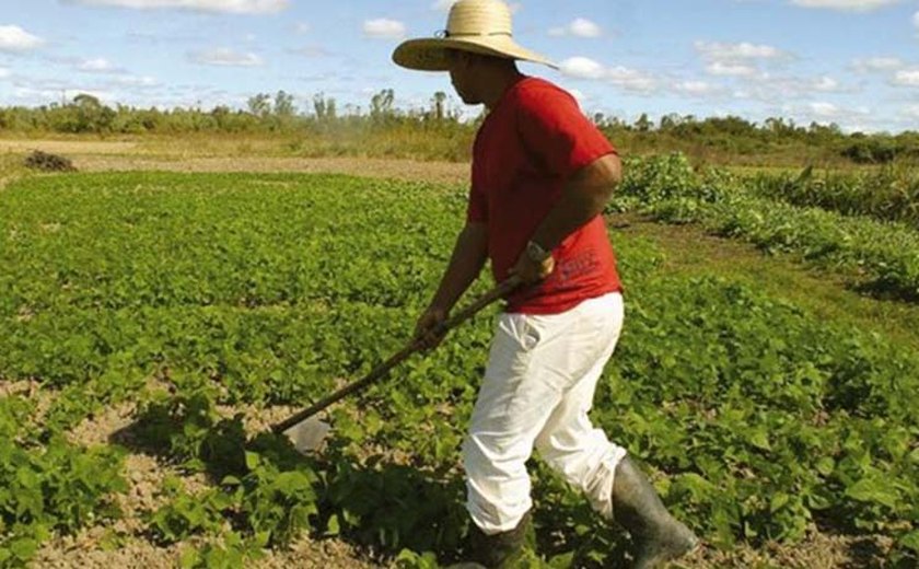 Conferências territoriais apresentam saldo positivo para agricultura familiar alagoana