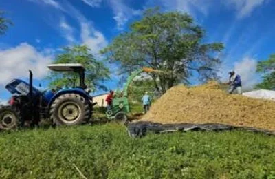 Prefeitura de Santana do Ipanema lança Programa Municipal de Produção de Silagem
