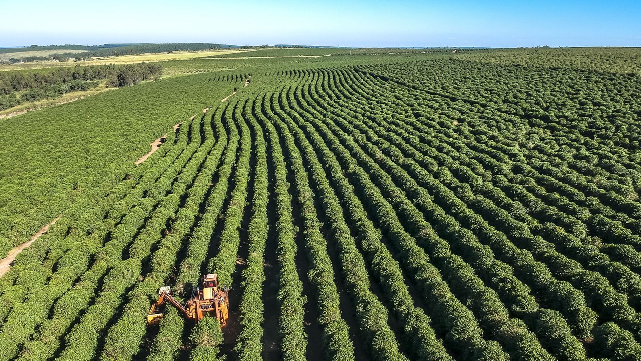 Preços mundiais do café atingem maior alta de meio século, diz produtor