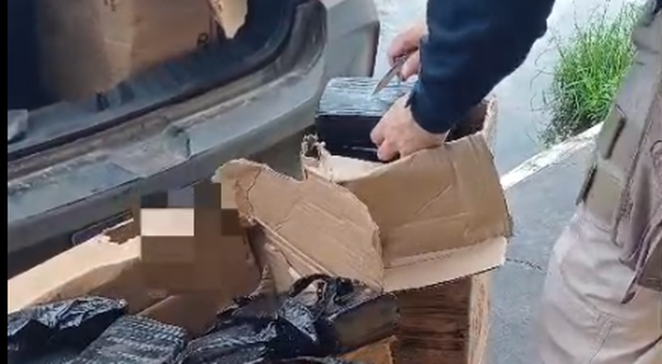 PRF apreende carga com maconha e cocaína / Foto: Foto: divulgação