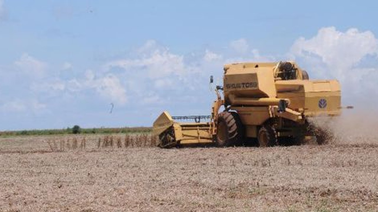 Colheita de grãos chegará a 188,7 milhões na safra brasileira de 2013/2014