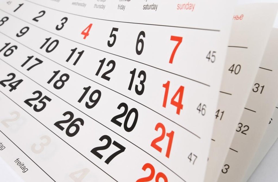 calendario 