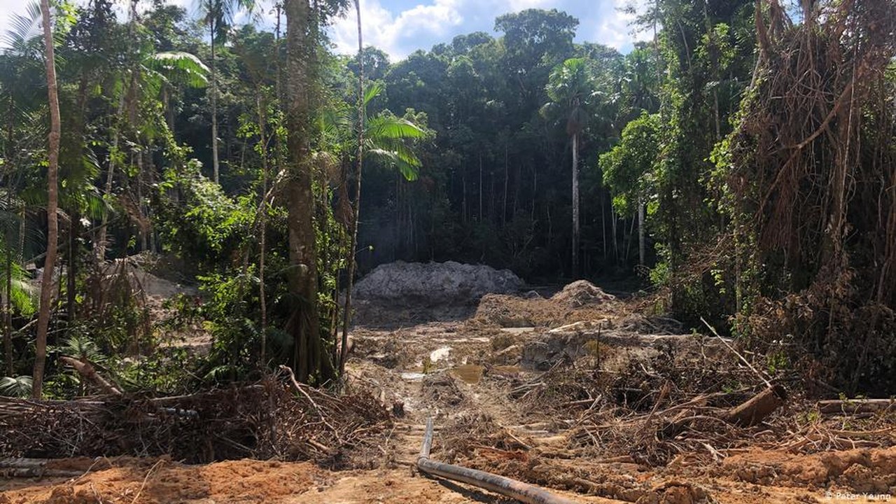 A dimensão da grilagem em florestas públicas na Amazônia