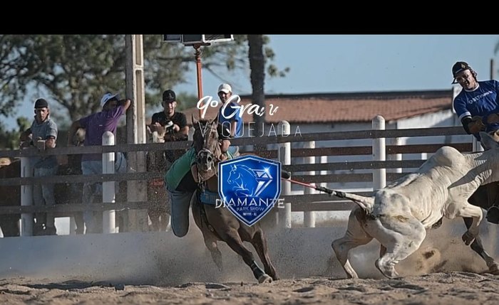 A 9º edição do Diamante Park Show acontece de 19 a 23 de março com boiada toda mobral