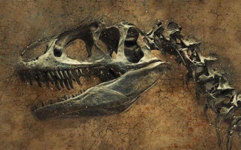 Desenterrada nova espécie de espinossauro com grande crista no Saara