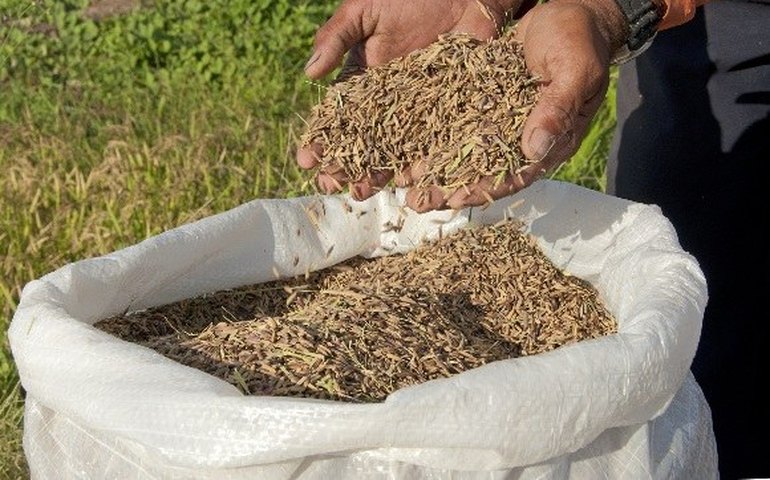 Sob pressão, governo lançará pacote de crédito agrícola