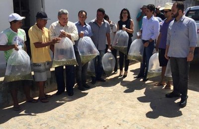 Produtores são beneficiados com a entrega de 15 mil alevinos em Anadia