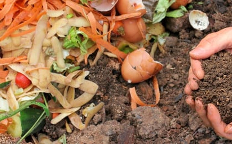 Compostagem Doméstica: uma ação sustentável ao alcance de todos