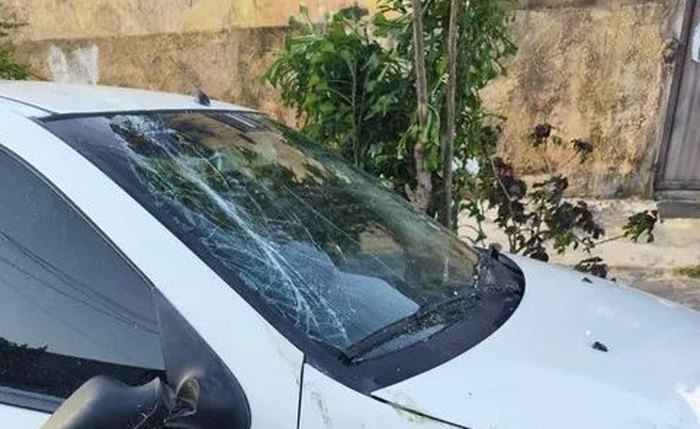 Árvore de grande porte cai e destrói carro no Prado