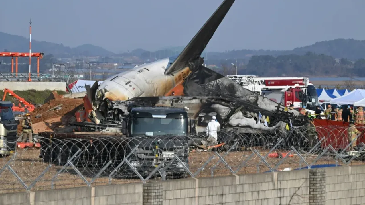 Relatório confirma colisão de pássaros com motor do avião em acidente na Coreia do Sul