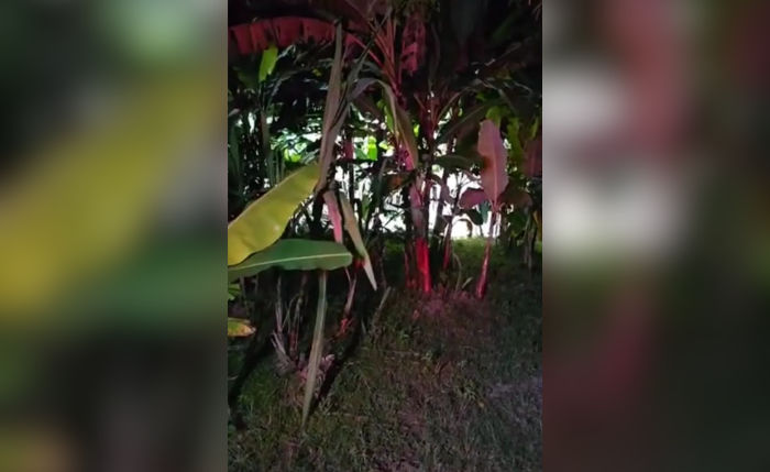 Local onde o corpo foi encontrado em cacimba na zona rural de União dos Palmares Local onde o corpo foi encontrado em cacimba na zona rural de União dos Palmares