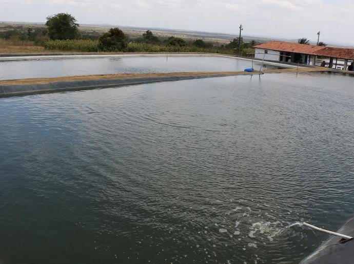 Semarh será homenageada com o prêmio Dryland Champions