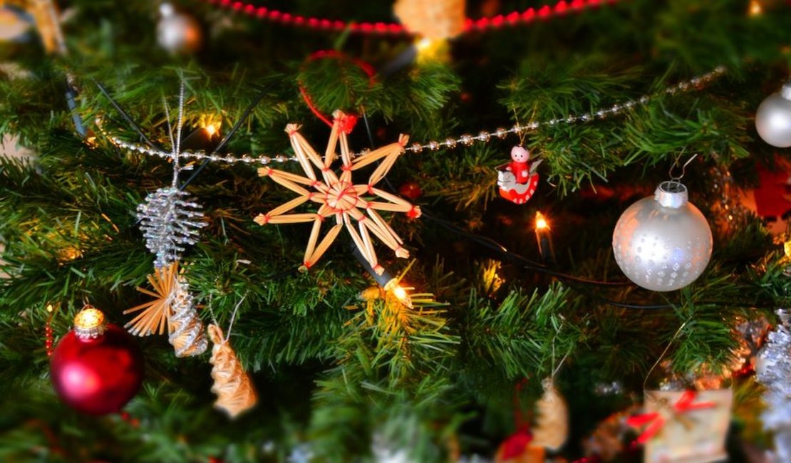Árvore de Natal simboliza paz. Em tempos de guerra é o que menos querem