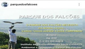 campanha parque dos falcões