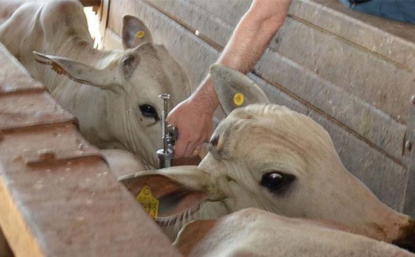 Adeal promove reunião com veterinários para incentivar campanha de brucelose