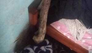 Homem mata mãe idosa a pauladas em Tobias Barreto
