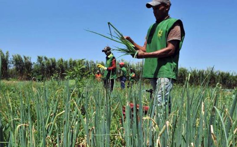 Conheça a essência das danças típicas do Carnaval