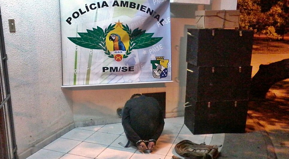 polícia ambiental