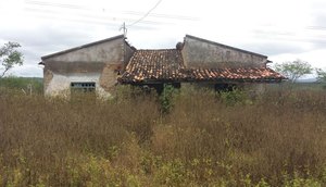 ossada canina em casa abandonada