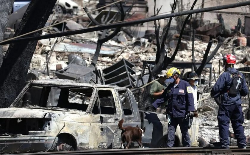 Havaí: Chefe de emergência de Maui renuncia após defender a escolha de não ativar sirenes durante incêndio florestal