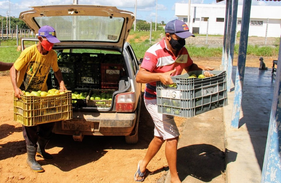 agricultores / Foto: ASN