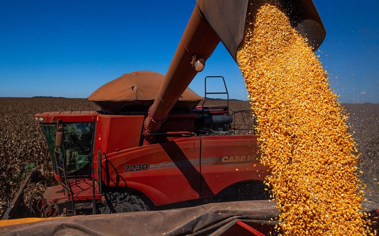 Conab: produção de grãos na safra 2020/21 deve ser recorde de 271,70 milhões de t
