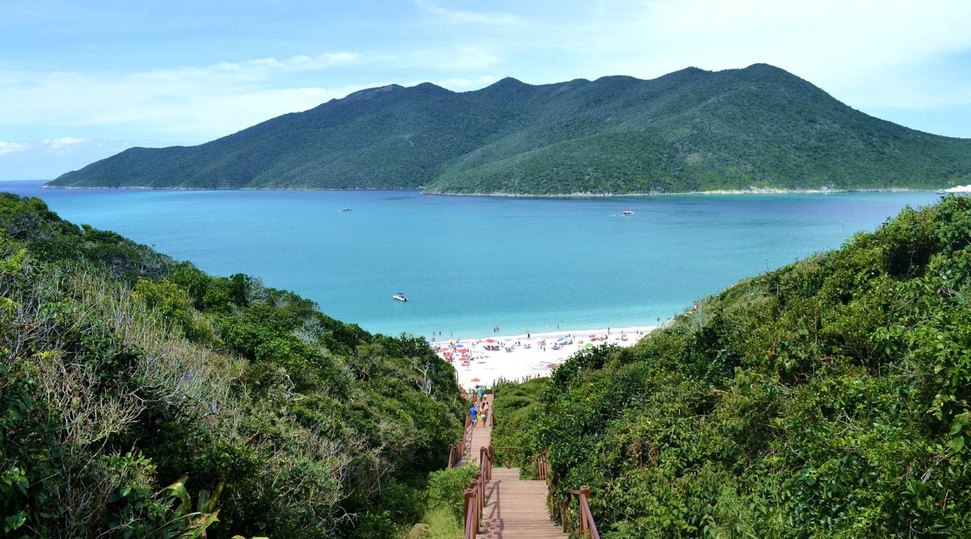 Francês News | Notícias do Nordeste, Brasil e do mundo em Tempo Real