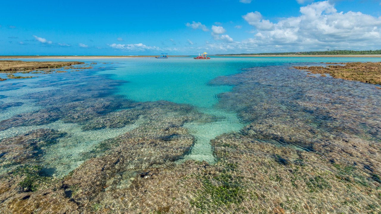 Praia de Alagoas é eleita uma das 100 melhores do mundo