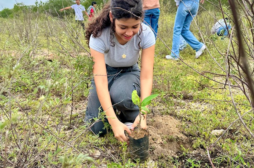 IMA/AL celebra Dia da Caatinga com plantio de mudas nativas em Ouro Branco