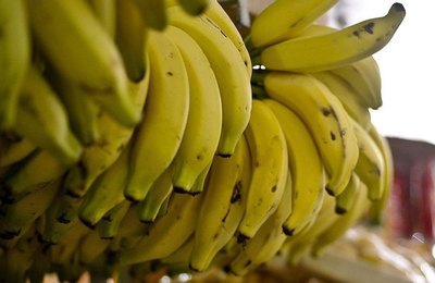Aprovado projeto-piloto para contratação do seguro rural vinculado ao Pronaf 