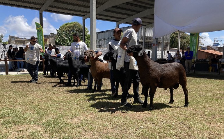72ª Expoagro movimenta mais de R$ 20 milhões em negócios e recebe público de 40 mil na Pecuária