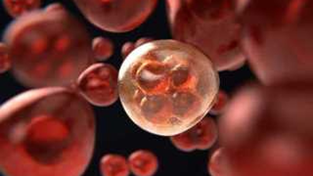 Ao menos 50 mil brasileiros deixaram de ser diagnosticados com câncer