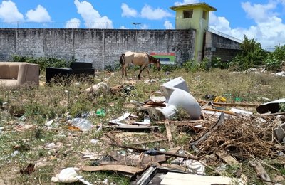 MPAL vistoria terreno e constata lixo, entulho de obras, cães, cavalos, espaços ocupados e risco de proliferação de vetores
