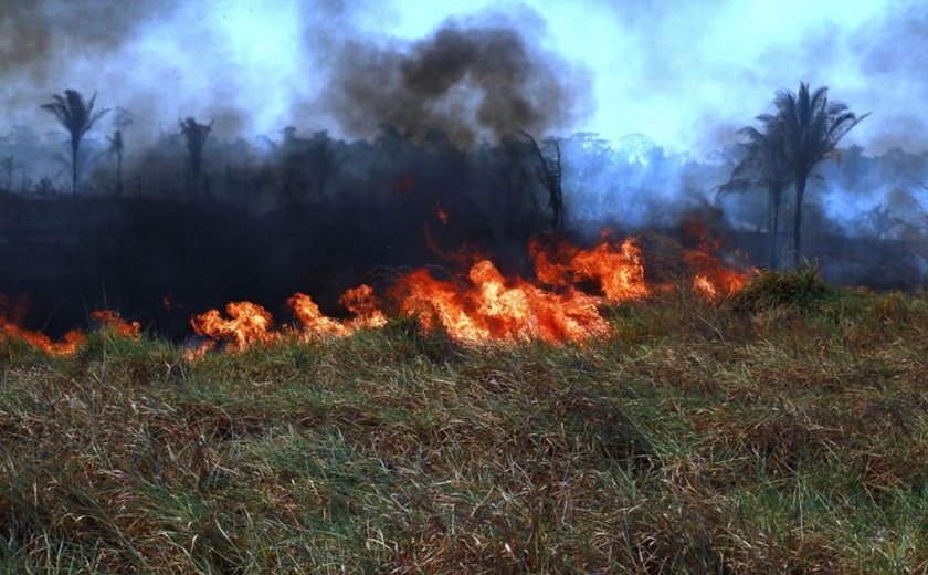 Nova lei define regras para uso do fogo em áreas rurais