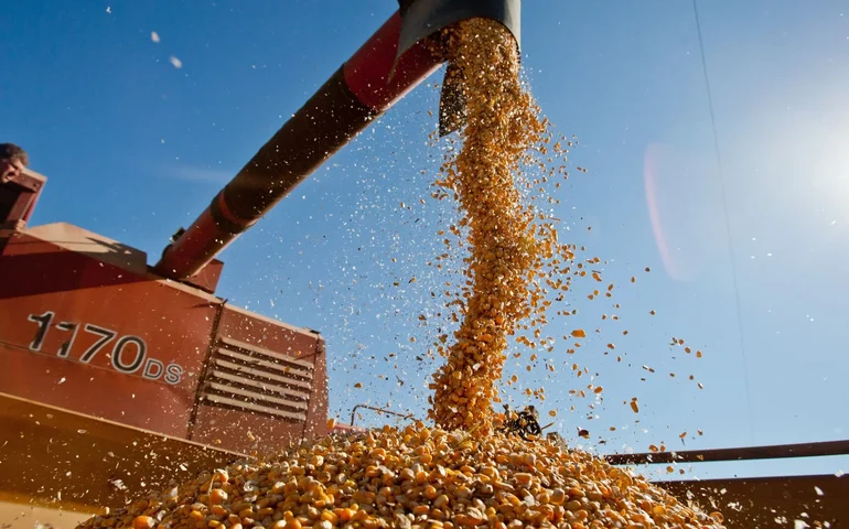 Brasil pode bater recorde de safra com 354,8 milhões de toneladas de grãos em 2025/26