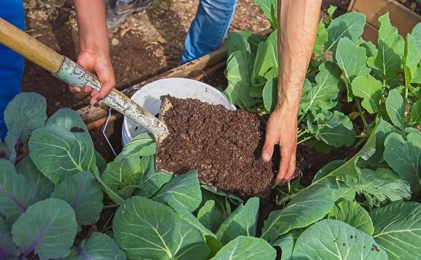 Ecoforte está com inscrições prorrogadas até 7 de outubro