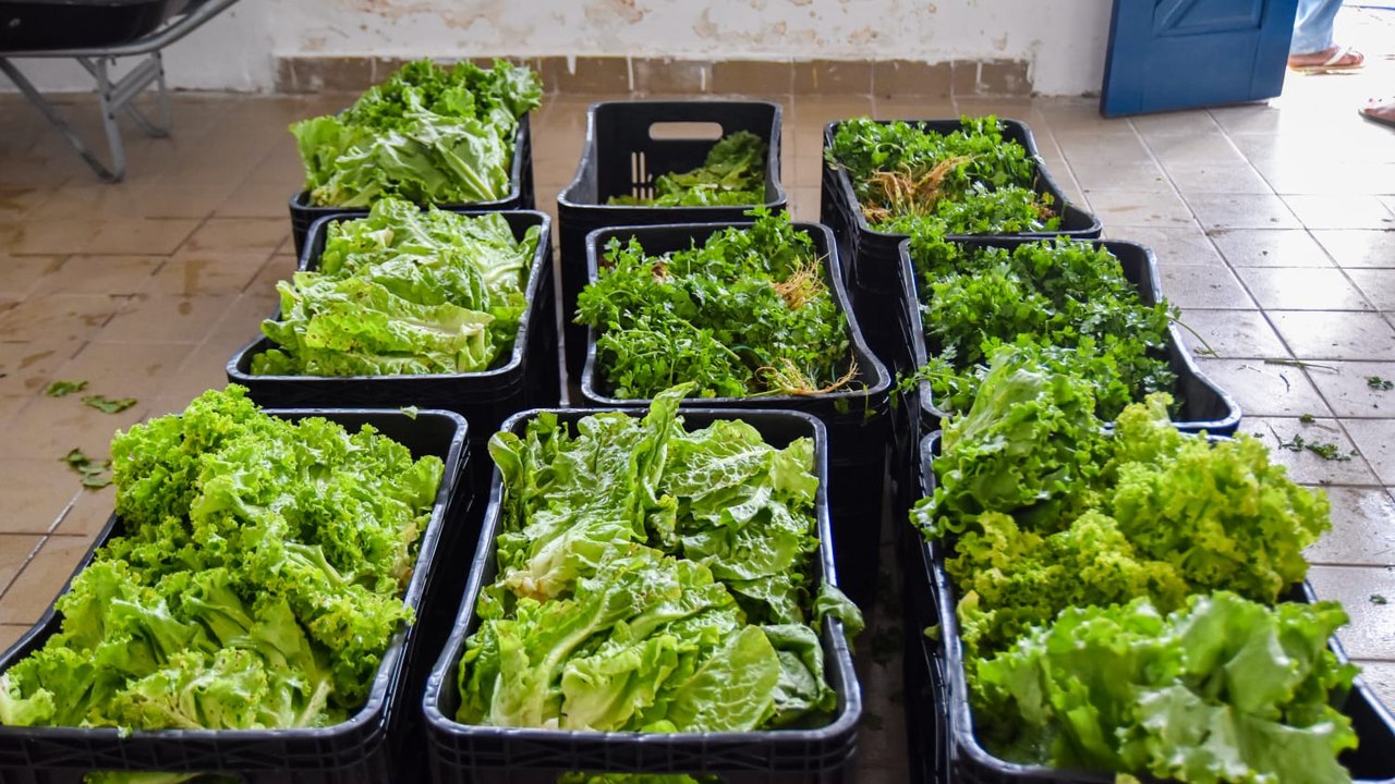 PAA adquire 12 toneladas de alimentos de agricultores coruripenses