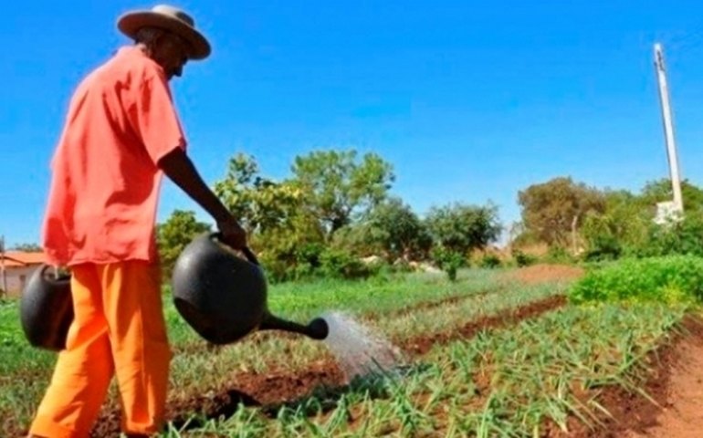 Agricultura estima Valor Bruto da Produção em 2022 de R$ 1,208 trilhão
