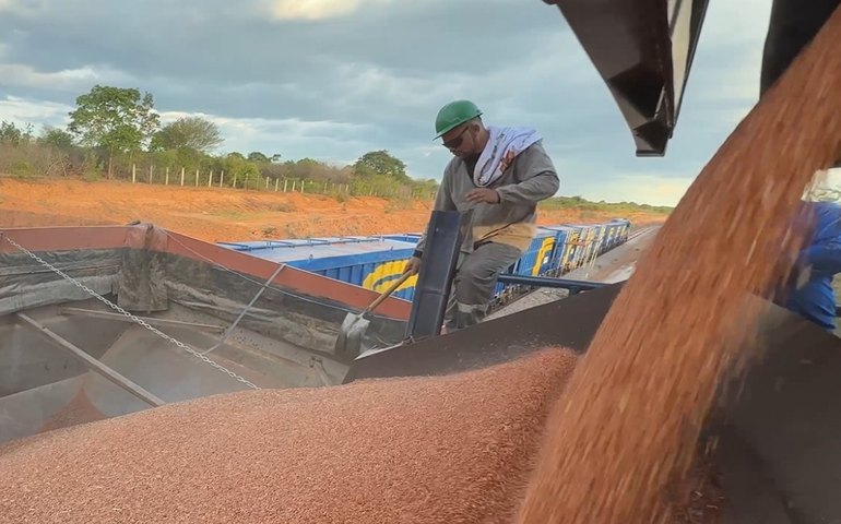 Transnordestina transporta 946 toneladas de sorgo em segundo teste operacional