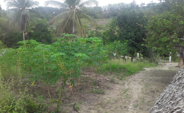 Fazenda Brejo Grande