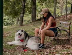 Orientação comportamental ganha espaço no cuidado com pets - Pexels (1).jpg 