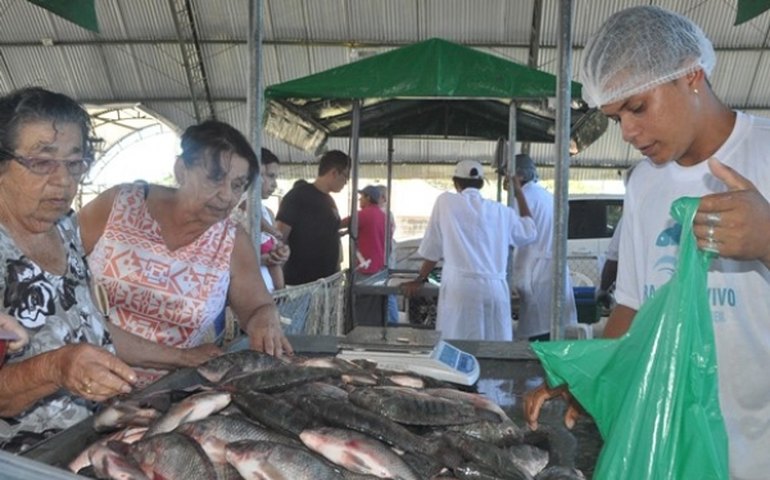 Novo Mercado de Peixe vai atender população de 10 municípios alagoanos